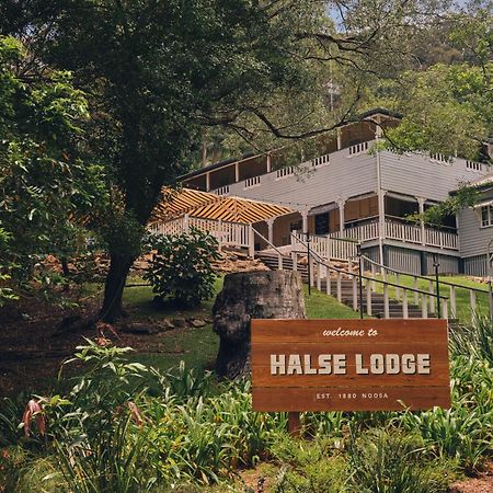 Halse Lodge Noosa Heads Buitenkant foto