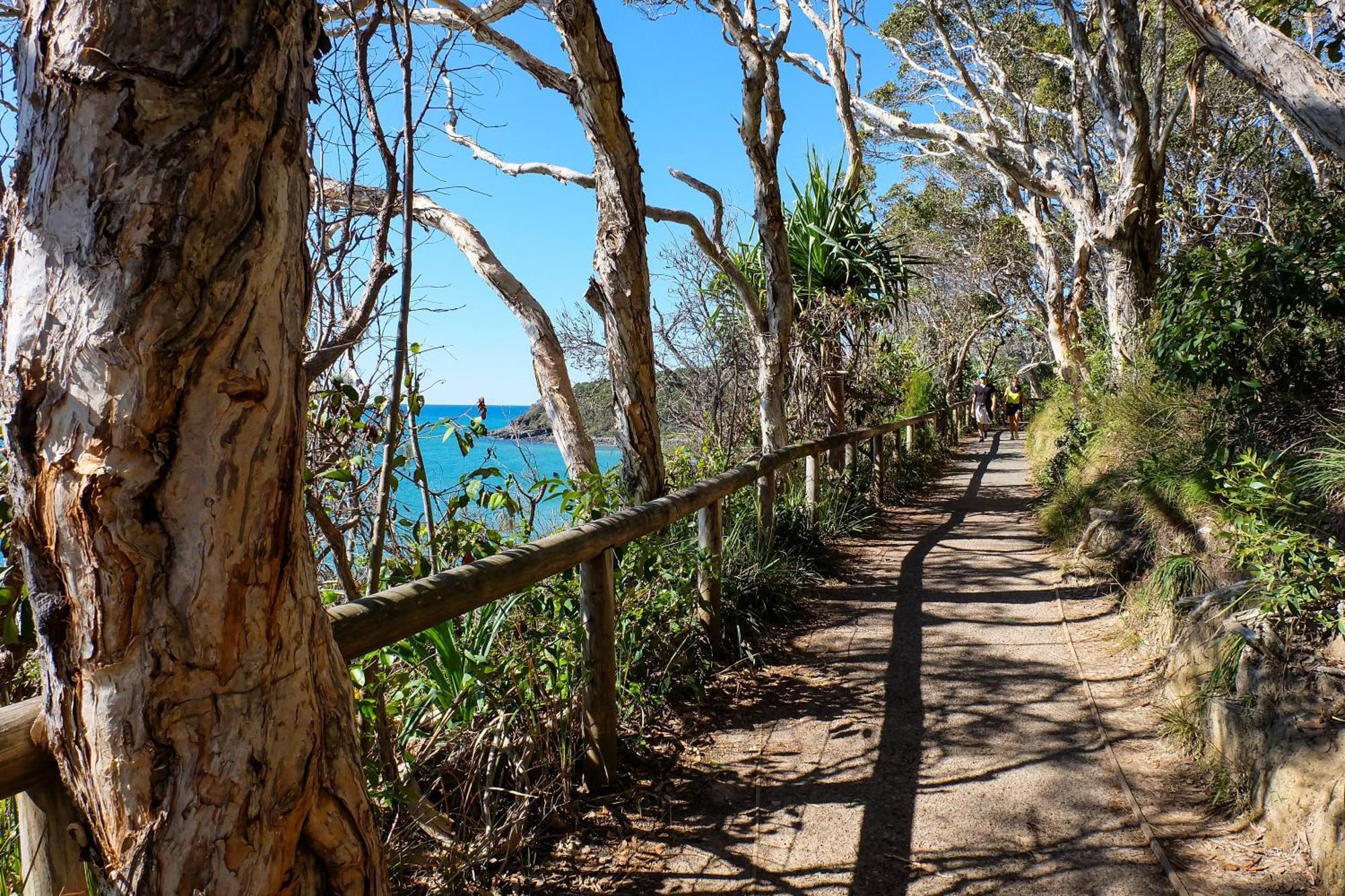 Halse Lodge Noosa Heads Buitenkant foto